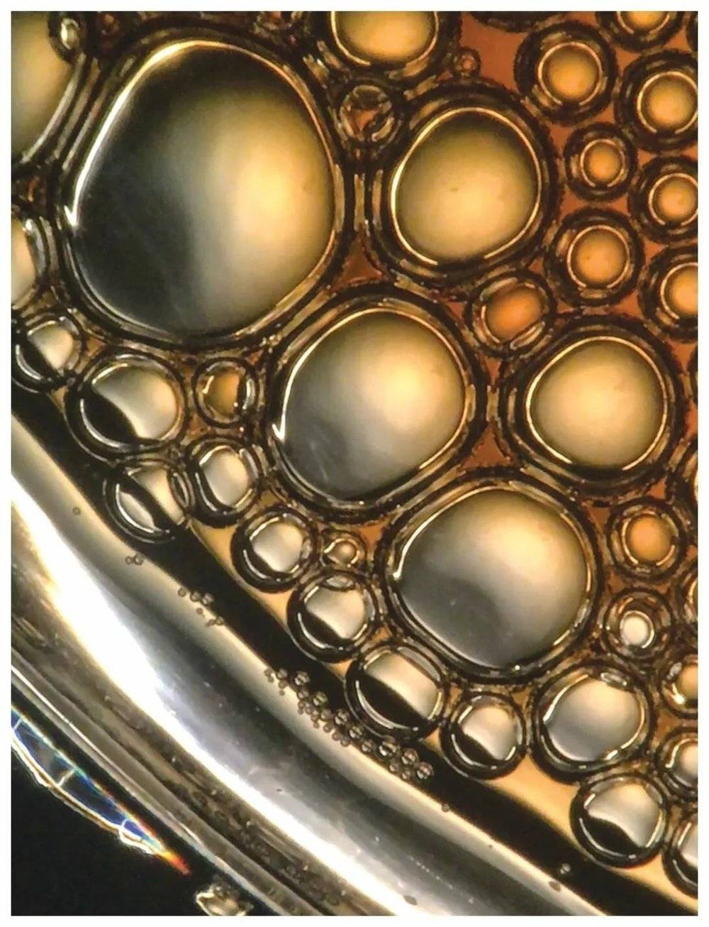 图6. 咖啡泡沫会移动并破裂。这张照片是通过装有智能手机适配器的显微镜拍摄的。由菲利斯·弗兰克尔提供。<br>
