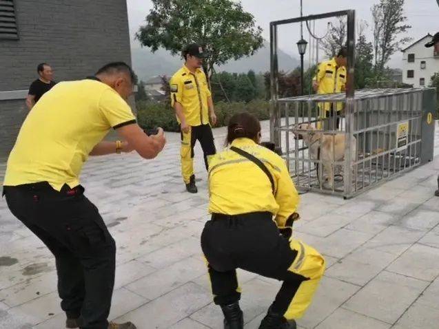 5月13日，公羊救援队队员在试验他们自己制作的捕豹笼
