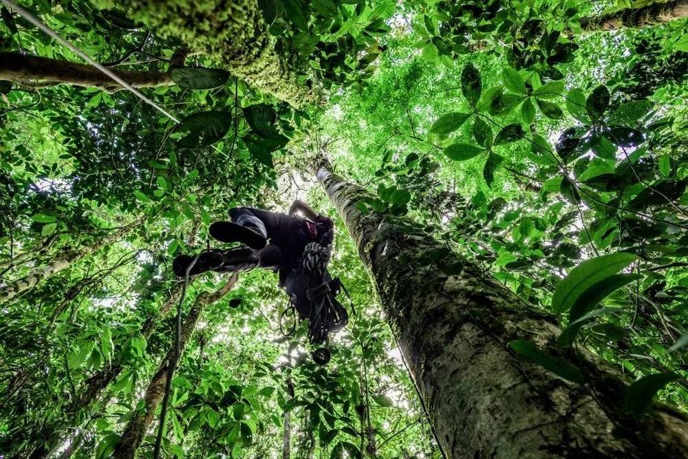 对托普·怀特和他的团队而言，在卡南德自然保护区安装“森林守护者”是一 项挑战体力的任务。
