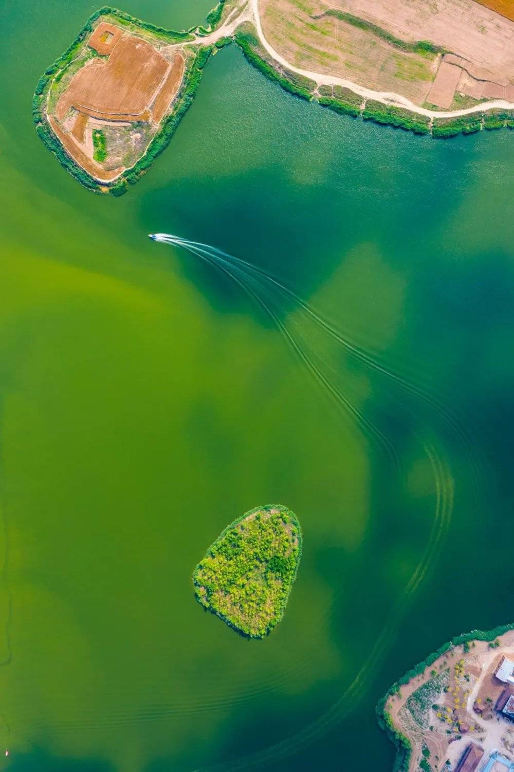 ▲ 曹县八里湾，在“宇宙中心”，俯瞰碧蓝湖水。摄影/石耀臣 