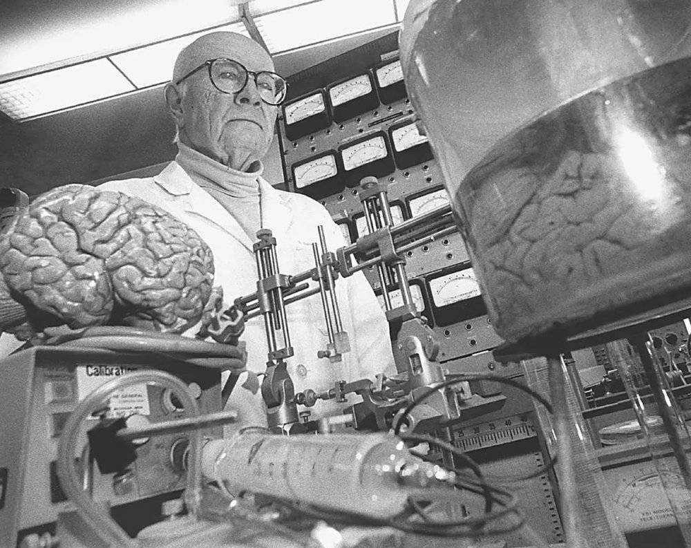 脑研究实验室里的罗伯特·怀特博士。© 怀特家族档案许可