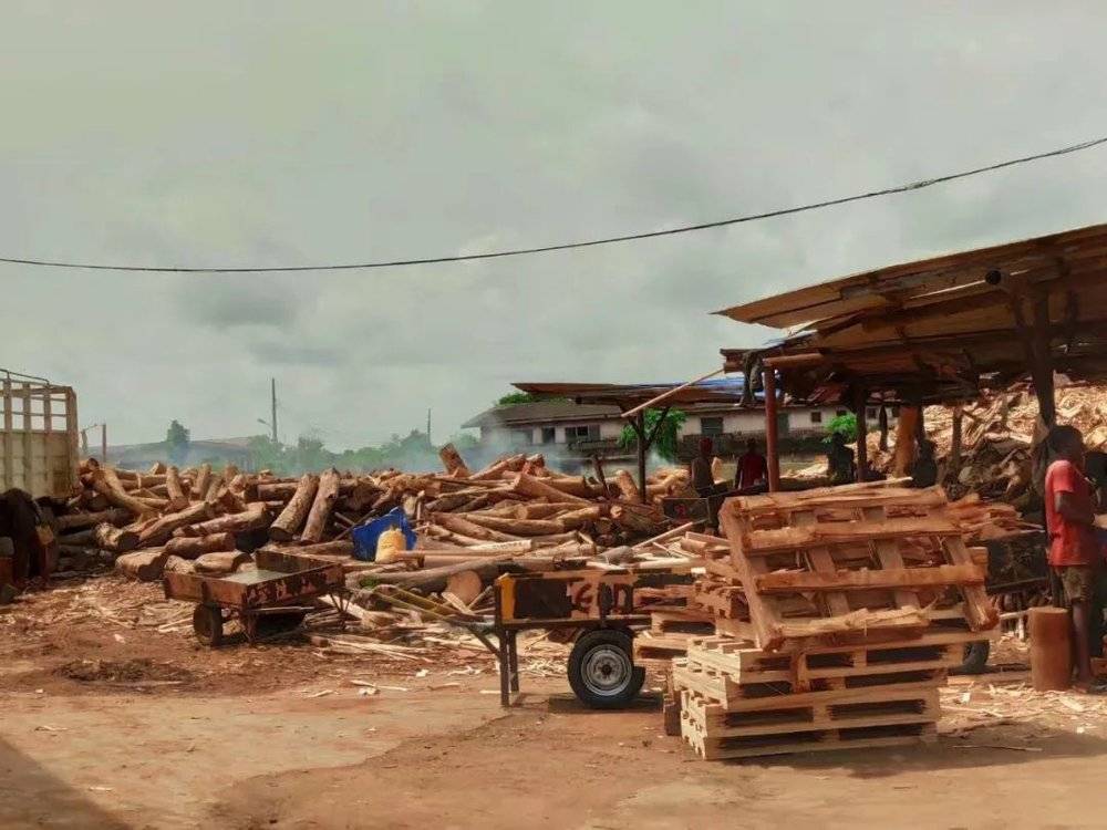 图 | 非洲的木材市场