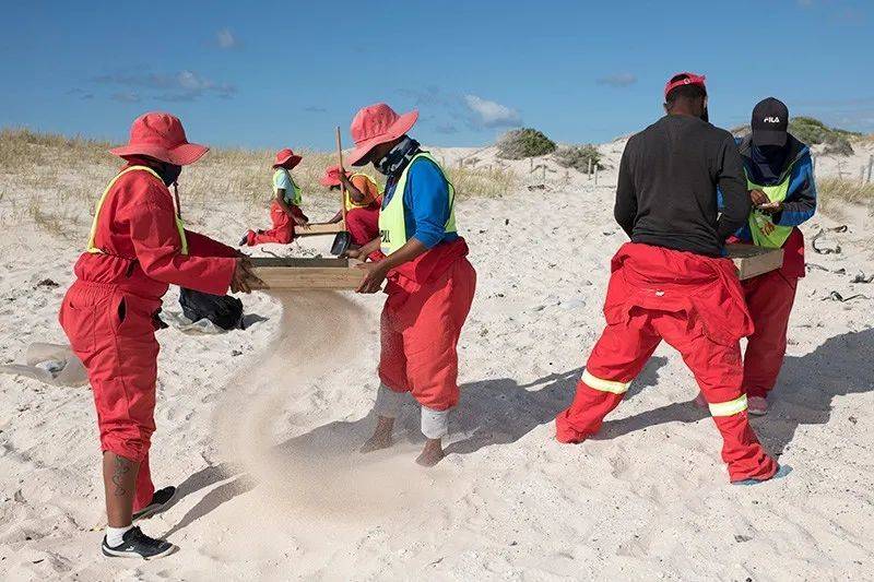 清洁工人在南非西开普省的阿尼斯顿海滩收集塑料颗粒。来源：Tom Camacho/Science Photo Library<br label=图片备注 class=text-img-note>