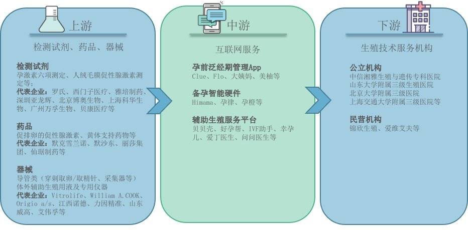 辅助生殖产业链（虎嗅制图）<br>