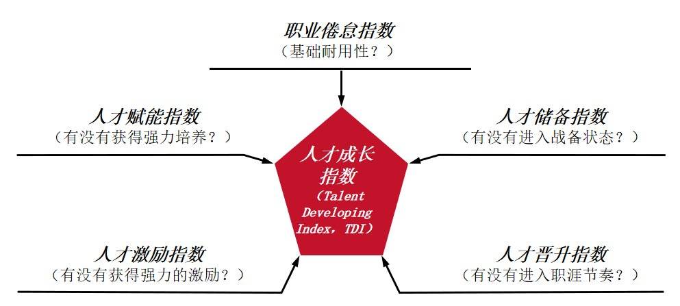 图2：人才成长指数模型，资料来源：穆胜企业管理咨询事务所