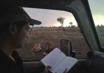 〓 青山在塞伦盖蒂草原上拍摄狮子，闲暇时就一边阅读，一边看熟悉的动物朋友们嬉戏<br>