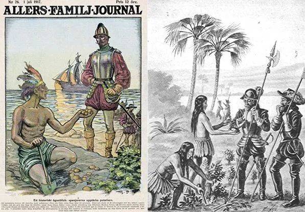 反映欧洲殖民者在美洲发现土豆的漫画