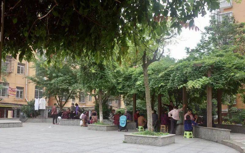 文鼎苑小区的小广场上，坐满了在打牌和闲聊的陪读妈妈。