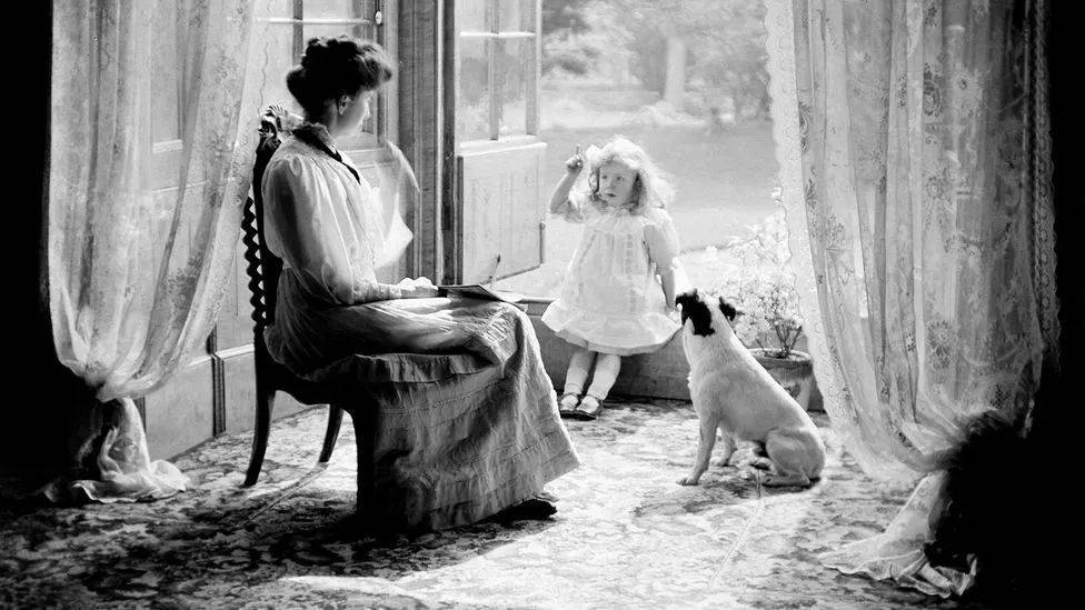 第一种加工狗粮是奢侈品，它引入了“宠物需要宠”的概念。© Kirn Vintage Stock/Corbis via Getty Images