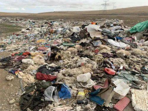 （2021年5月28日，从西宁方向出发前往拉萨的旅行者，在青藏公路五道梁地段附近拍摄到的巨大露天垃圾带。图中的白色卷毛物体为死羊，棕色卷毛物体为死牦牛）<br>