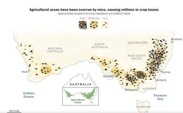 ● 2021年3月澳大利亚居民报告的老鼠出没频率 / 华盛顿邮报
