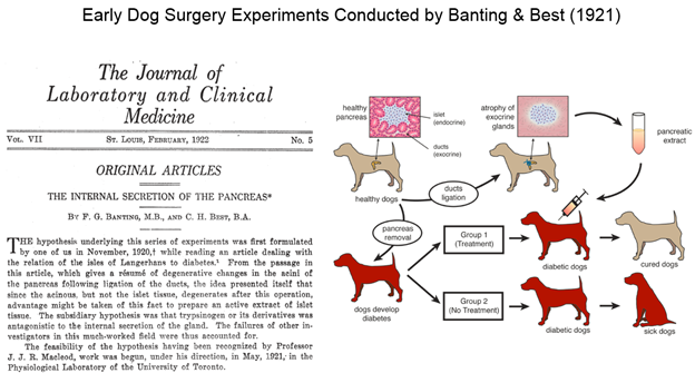 图四。来源：Whitford, I. et al （2012）The Einstein Journal of Biology and Medicine, 28(1):12-17.<br>