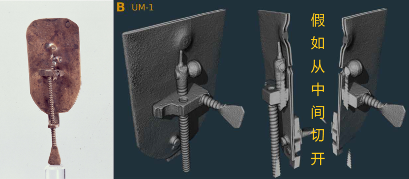 左为显微镜（266x）本体，右为3D重建之后丨参考文献1