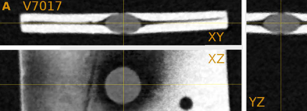 中等放大倍数（118x）显微镜的成像结果，镜片更扁丨参考文献1