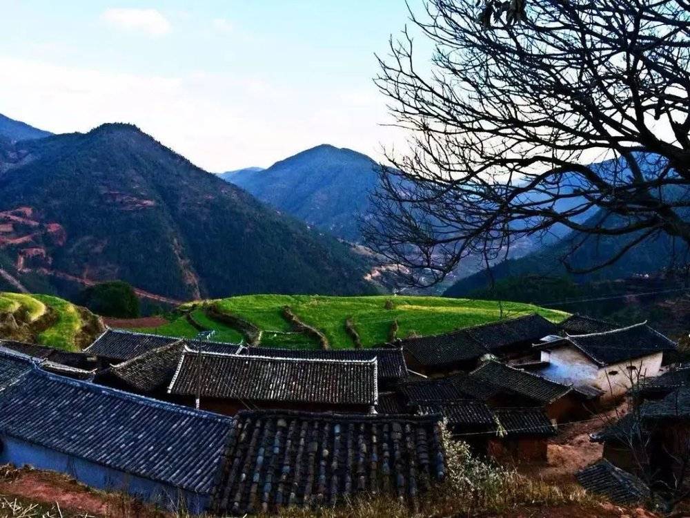 ●康丽家所在的山头只有几户人家，全村100多户分散在不同山头，串门得走半个小时以上。图：晓云生