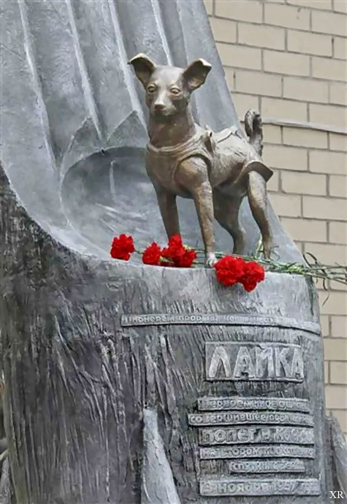 “登入太空第一狗”莱卡的纪念碑 | 图源：James Vaughan
