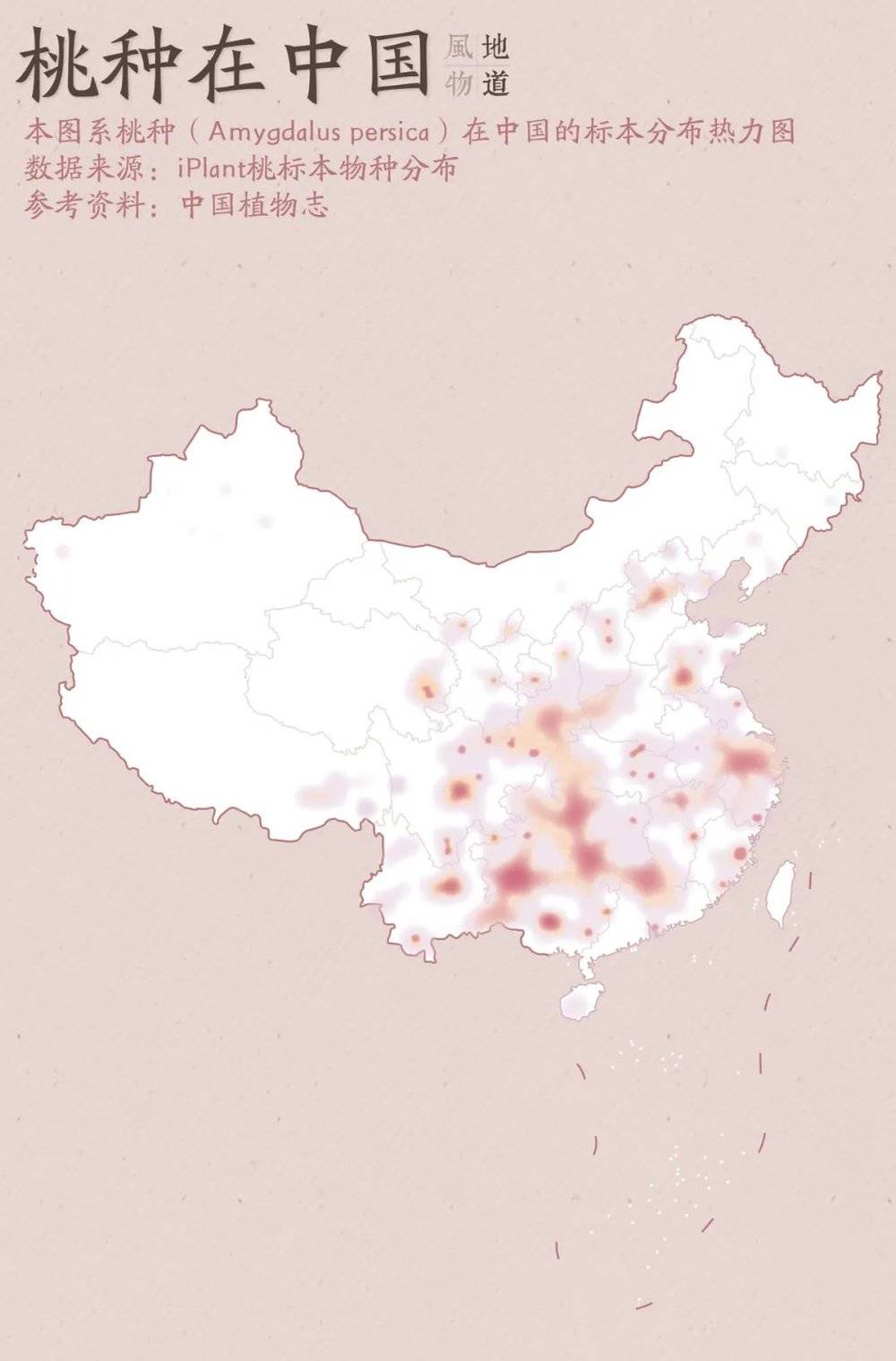 ▲ 桃种在中国的标本分布热力图，江浙沪地区是其中的产桃大区。 制图/Paprika<br>