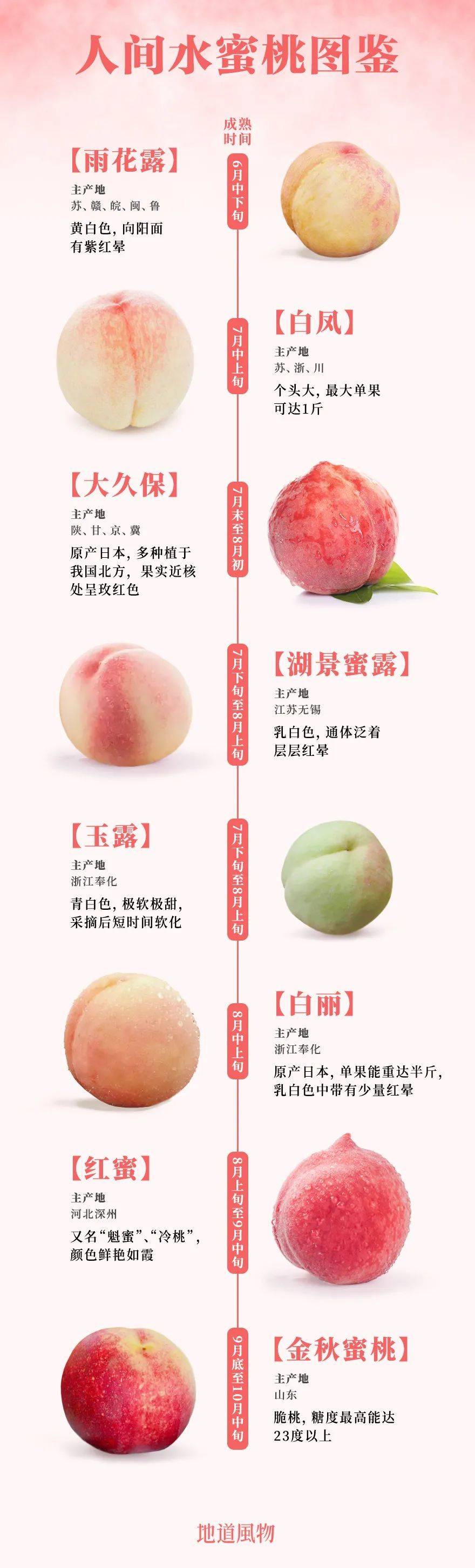 ▲ 如今市面上部分知名的蜜桃和水蜜桃（其中金秋蜜桃为脆桃）。设计/刘航<br>