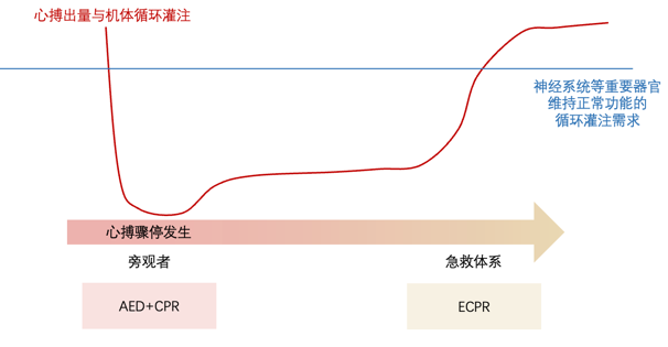 图2. 常规CPR下心输出量为正常的30%~40%，但如果心脏骤停超30 分钟不能持续维持自主循环，应立即使用ECMO进行紧急循环及氧合支持方能维持重要器官的循环灌注<br label=图片备注 class=text-img-note>