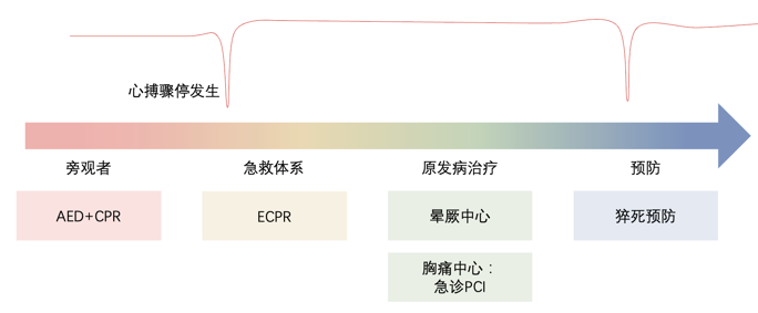 图9. 心脏性猝死的急救-治疗-预防涉及到不同部门的联动，具体到每个环节也需要公共卫生与临床的密切合作，才能达到最理想的效果<br label=图片备注 class=text-img-note>