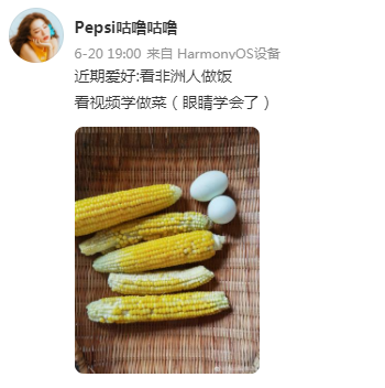 中国网友@Pepsi咕噜咕噜最大的爱好就是看非洲人做饭视频学做菜<br>