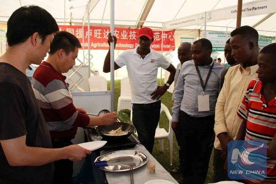 卢旺达首都基加利，当地人观看中国农业专家烹饪中国技术培育的蘑菇