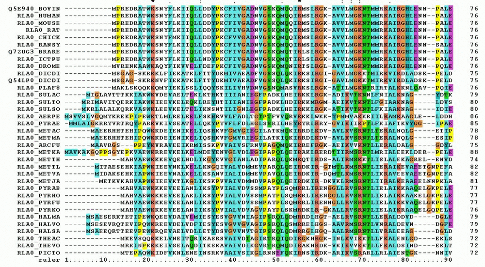 不同生物体身上相似的蛋白质，对齐序列丨Miguel Andrade<br label=图片备注 class=text-img-note>