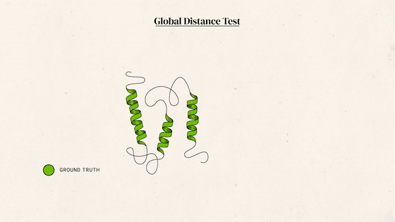 打分工具是Global Distance Test（全局距离检测，GDT），测量的是选手答案与标答之间的相似度，分数在0-100之间丨DeepMind