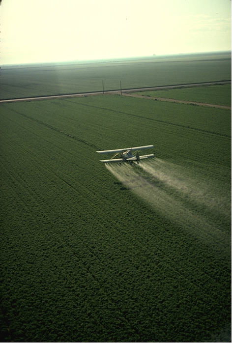 喷洒农药的双翼飞机。图片来源: Charles O'Rear | Wikimedia Commons<br label=图片备注 class=text-img-note>