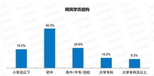 中国互联网络信息中心（CNNIC）发布的第47次《中国互联网络发展状况统计报告》<br>