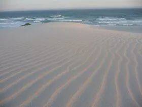 由风或水形成的沙丘的波纹模式是自然界涌现结构的一个例子 | Wikipedia