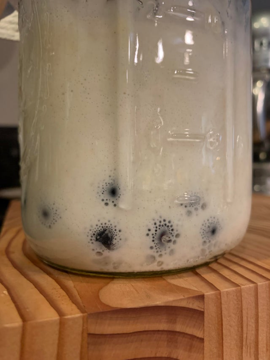 一罐使用了蓝莓的精酿老面，老面们正欢快地围在蓝莓身边吐泡泡<br>