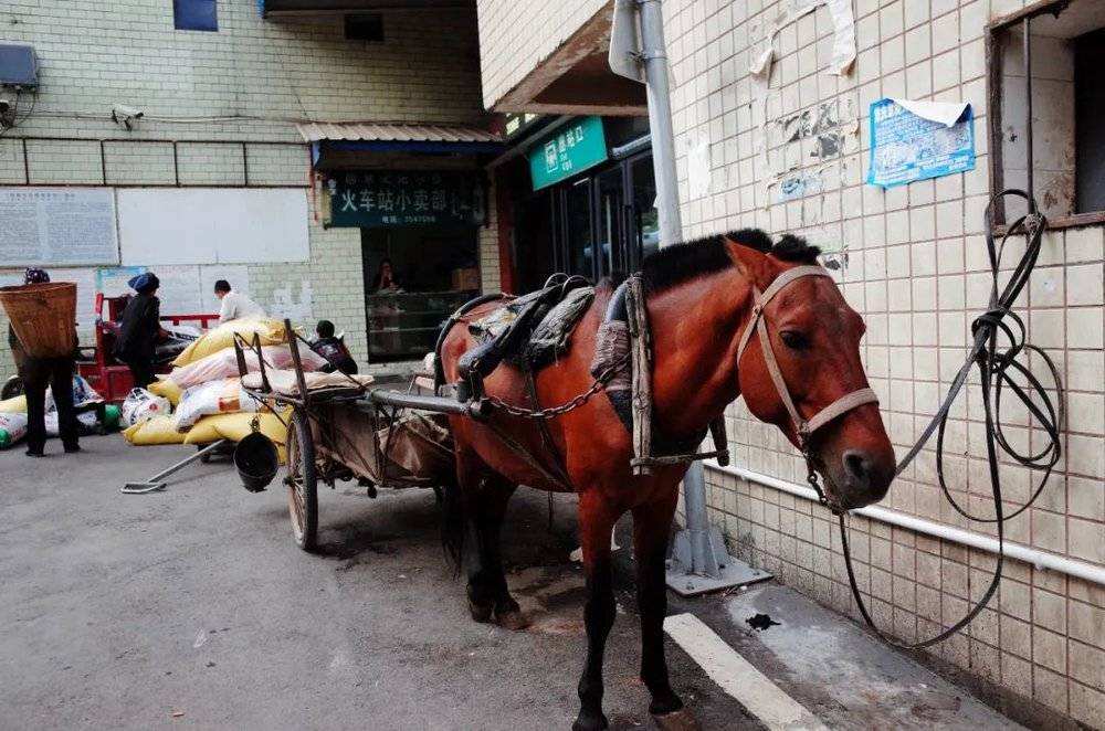 普雄出站口，等待拉货的马车  时代周报记者黎广 摄<br>