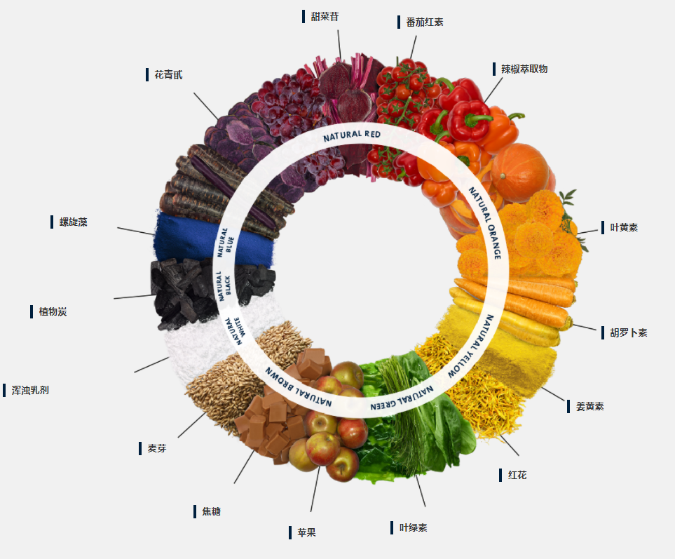 天然着色方案色彩环，图片来源：doehler官网