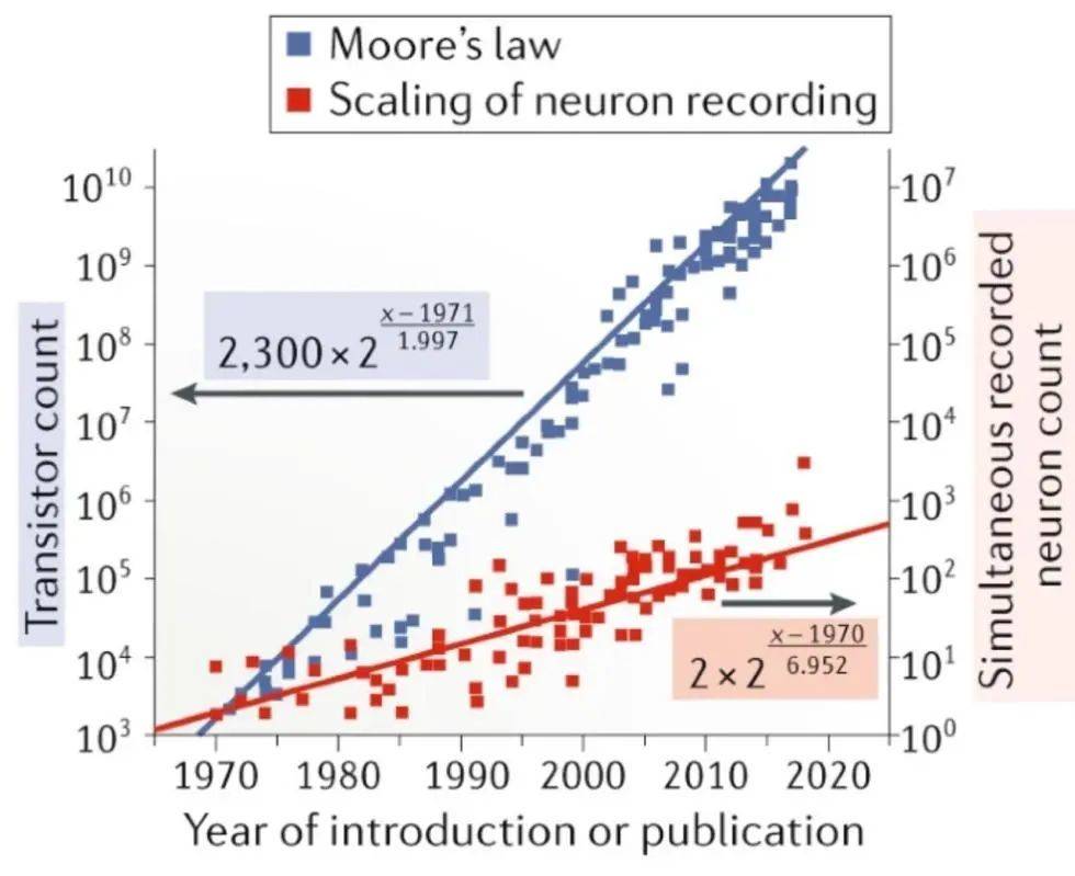 图4 脑机接口的电极增长速度 图中蓝色为半导体芯片上晶体管增长数目，红线为脑机接口记录到的神经细胞数量。从历史上看，晶体管数目约每2年增加一倍（摩尔定律），脑机接口记录神经细胞的数量大约是每7年增加一倍。丨图源：Hong and Lieber, Nature Reviews Neuroscience (2019) https://doi.org/10.1038/s41583-019-0140-6<br>