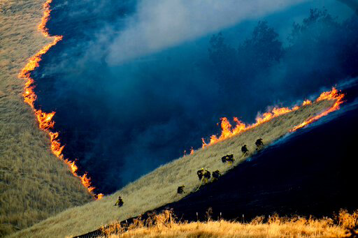 图片来源：AP Photo / Noah Berger, File