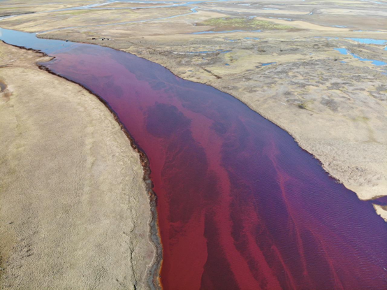事故发生后数日，调查员在Ambarnaya河面上的柴油污染物测量得20厘米厚度，俄罗斯总统普京宣布诺里尔斯克市进入联邦级紧急状态。/ ©Greenpeace Russia<br>
