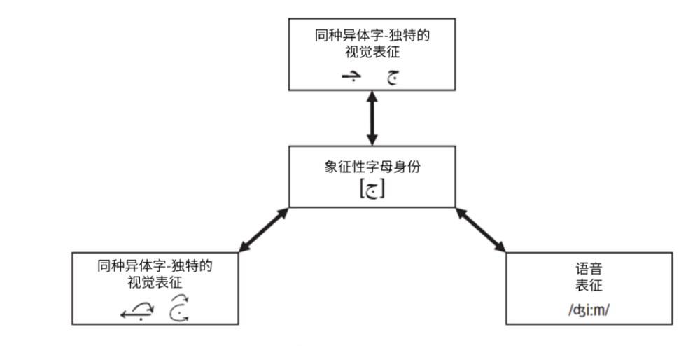 不同类型的表征（视觉、运动和语音）通过它们共同的非模态表征（抽象的符号字母）相互关联 | 参考文献<span class=text-remarks label=备注><sup label=备注 class=text-remarks>[1]</sup></span>，作者汉化