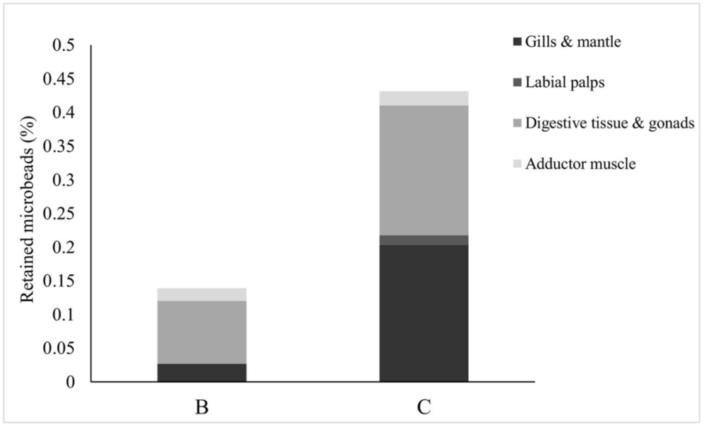图｜牡蛎暴露于原始（处理 B）和大肠杆菌涂层（处理 C）微塑料的每组组织（鳃和覆盖物、唇瓣、消化组织和性腺、内收肌）中的微珠残留百分比（来源：Science of the Total Environment）<br label=图片备注 class=text-img-note>