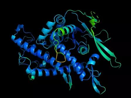 图 | 蛋白质功能由其3D结构决定 （来源：DeepMind）