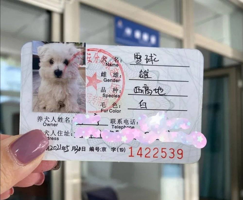北京的狗证<br>