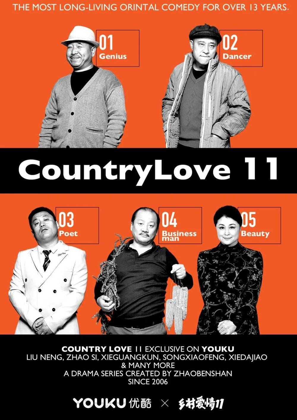 《乡村爱情11》国际版海报（图片来源：豆瓣）<br>