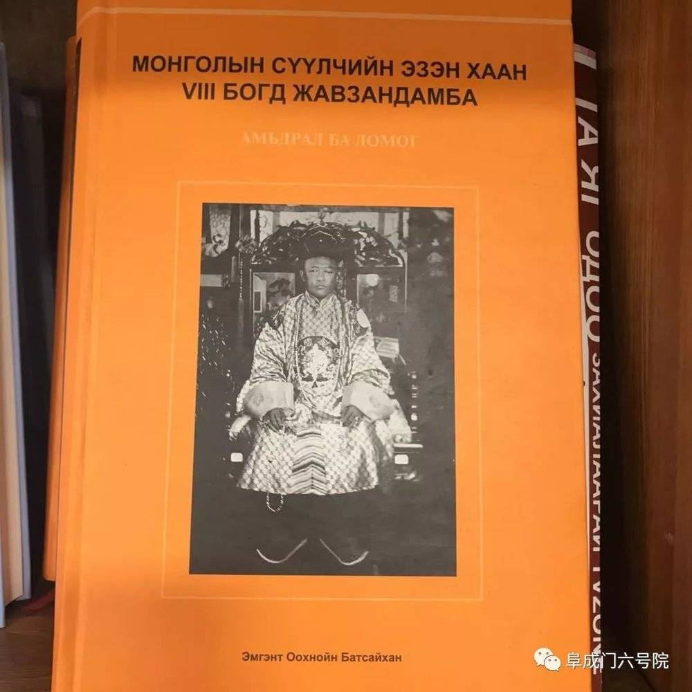 蒙古国书店和图书馆有大量关于第八世哲布尊丹巴的书籍