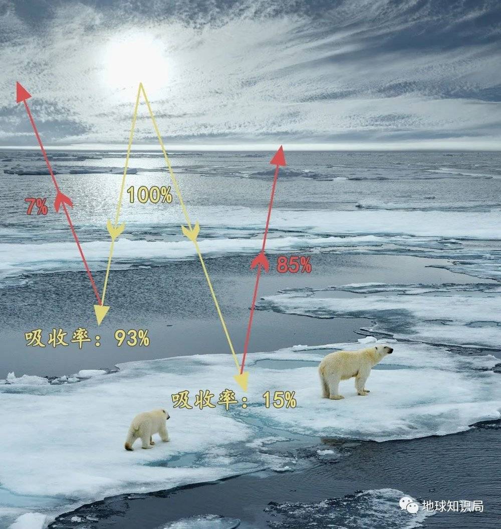 冰盖，海冰，雪面的反射率都远高于水面和陆地