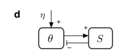 图2. 沙堆模型中序参量（<em>S</em>）与控制参量（<em>θ</em>）构成的反馈图<br>