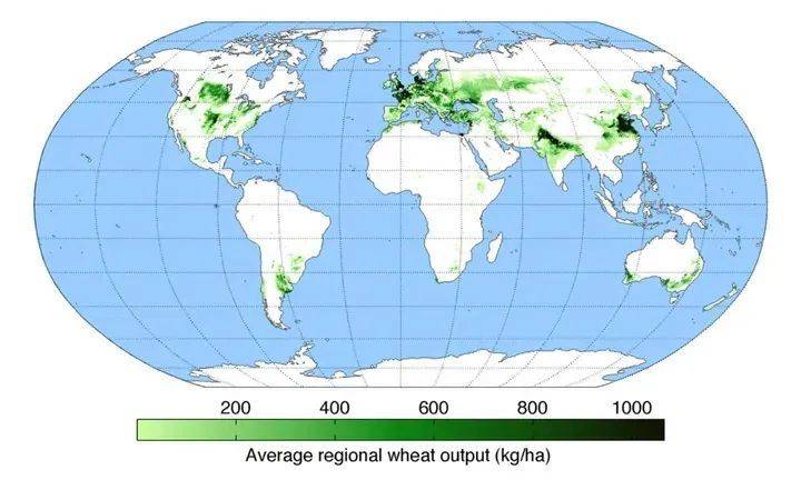 啤酒主要原料小麦的世界产量地图 图片源于AndrewMT