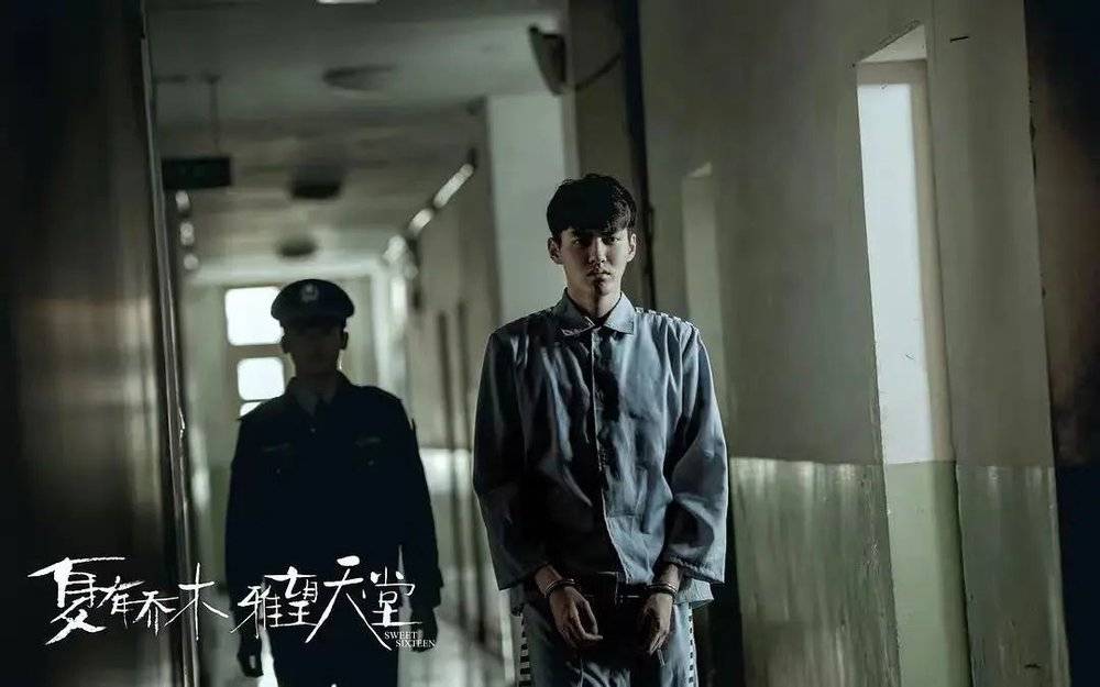 2016年《夏有乔木：仰望天堂》上映 豆瓣评分4.8<br>