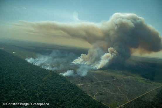 ● 2021年1月发生在巴西Porto Velho地区的火灾现场 / Greenpeace<br>