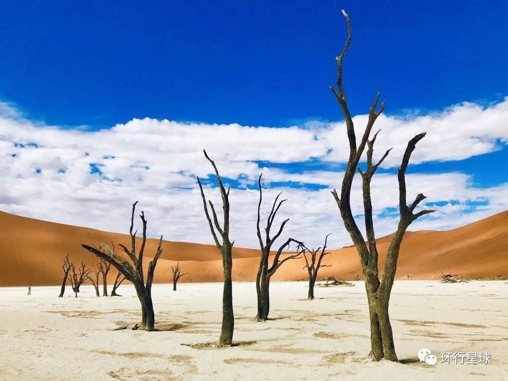 纳米比亚最具代表性景点，红沙漠死亡谷<br label=图片备注 class=text-img-note>