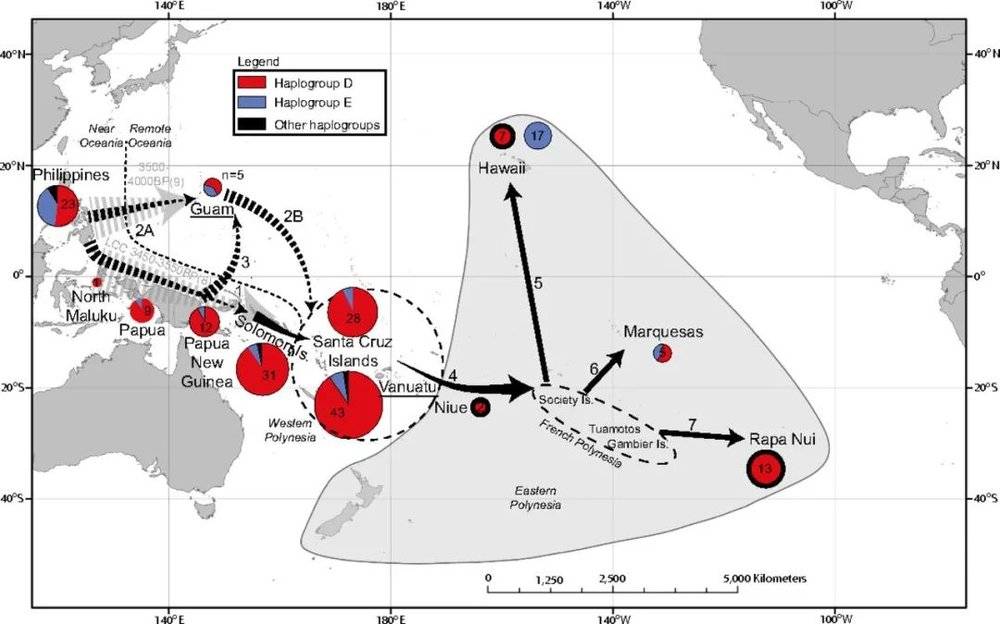 家鸡在太平洋迁徙路线图 | 参考文献[16]<br>